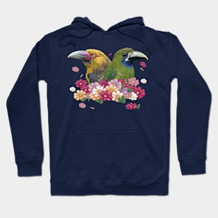 toucans Hoodie